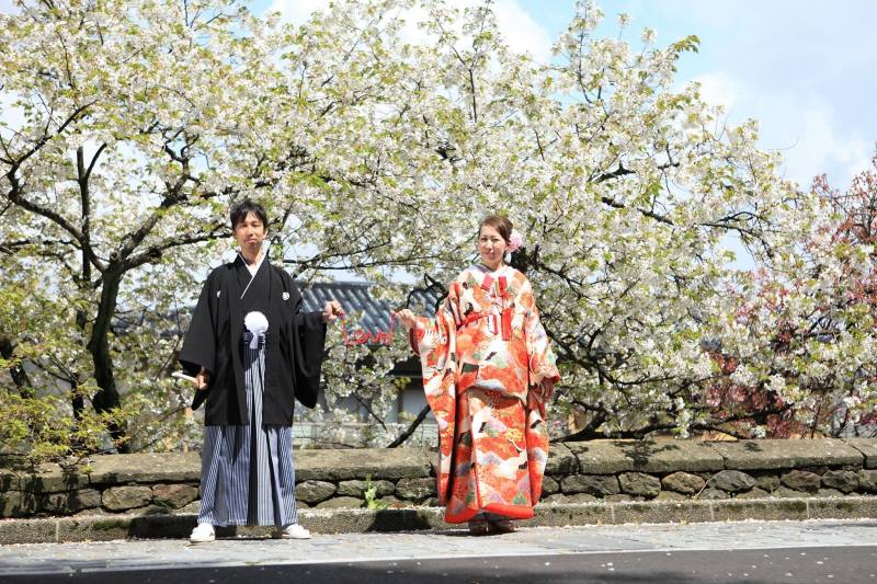 桜の木の下で♪