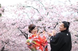 桜ロケーションフォト♪