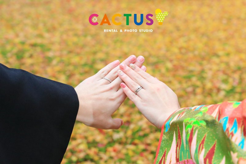 落ち葉の縦貫を背景に