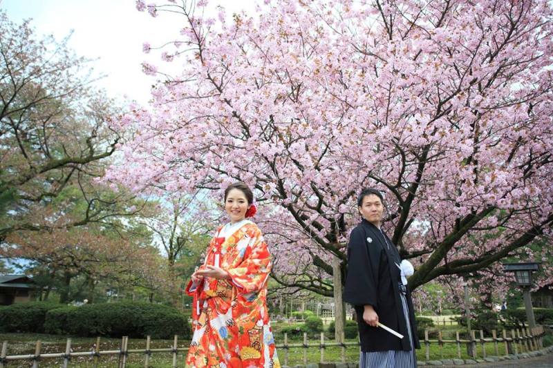 八重桜をバックに