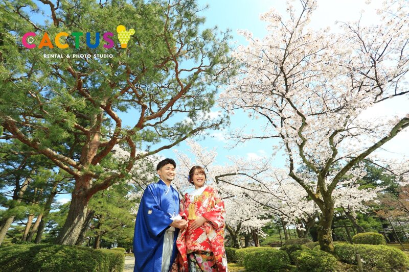 見上げるお二人