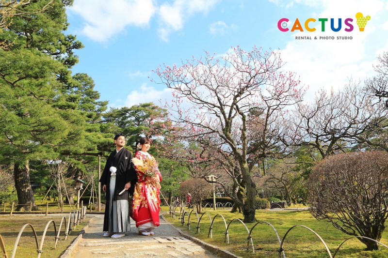 本日は晴天なり