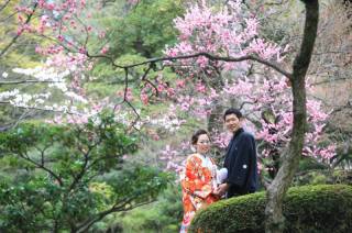 兼六園和装・桜ロケーションフォト