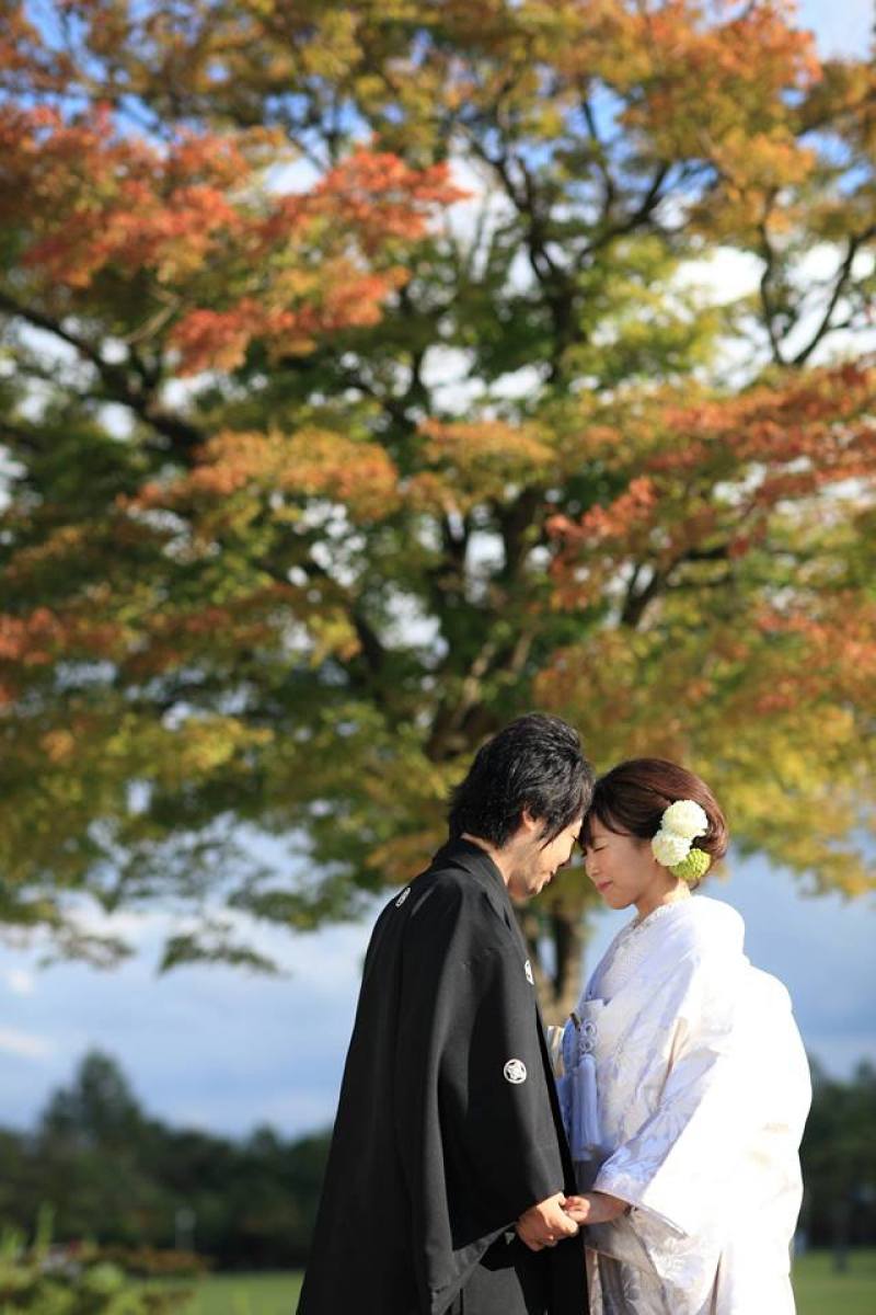 おとぎのもりロケーションフォト