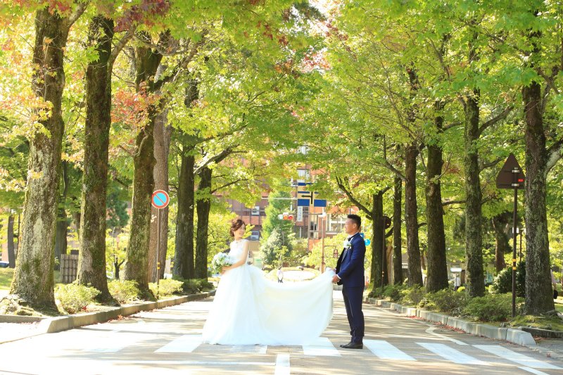 アメリカ楓の並木道にて