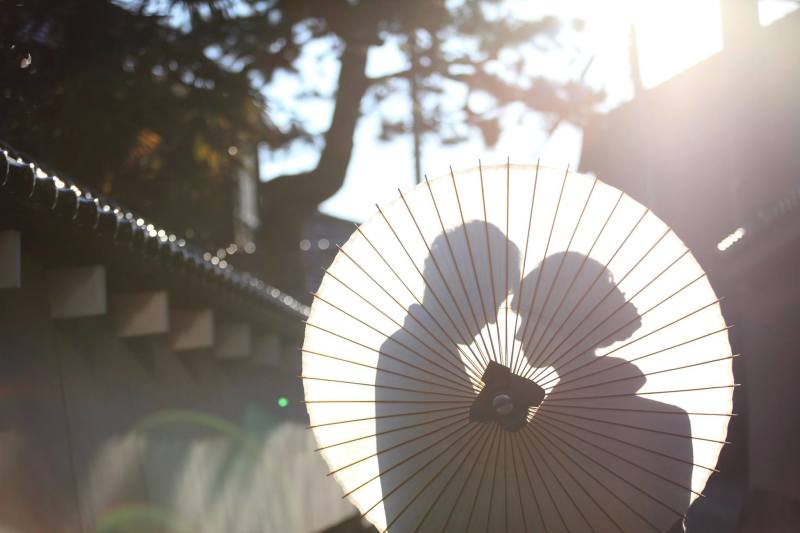 シルエット撮影