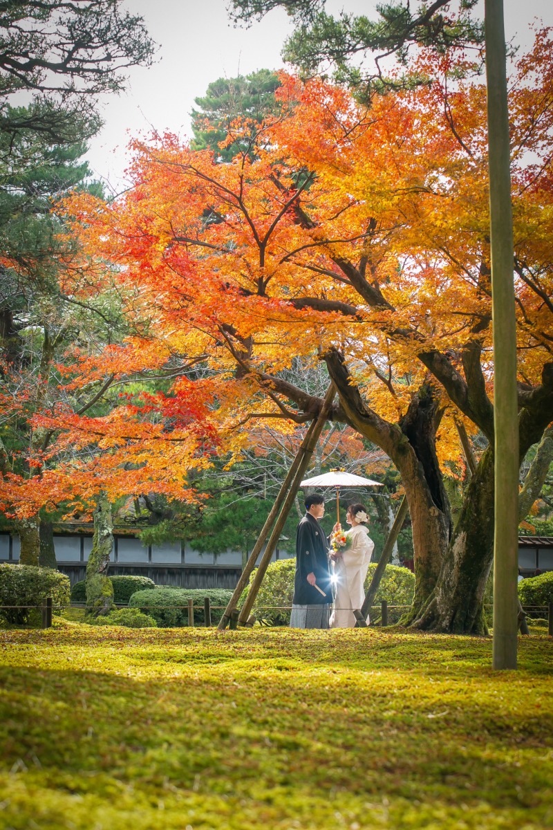 紅葉ロケーションフォト