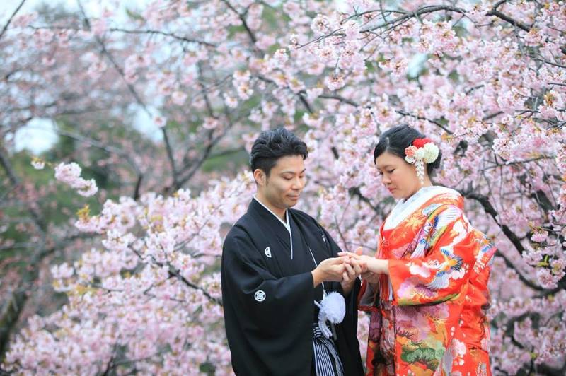 兼六園・桜・梅ロケーションフォト