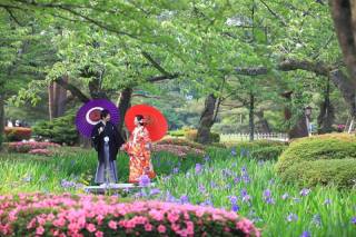 兼六園ロケーションフォト