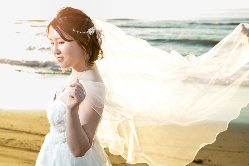 夕陽に照らされて