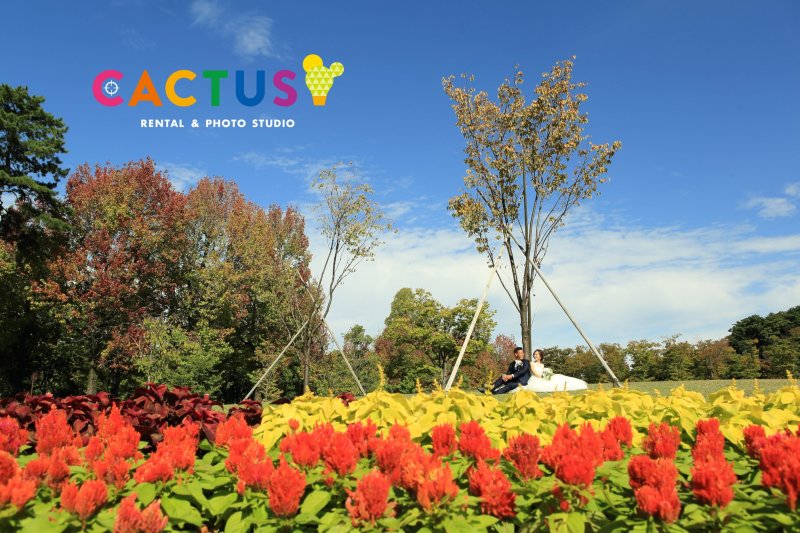 お花畑のある風景