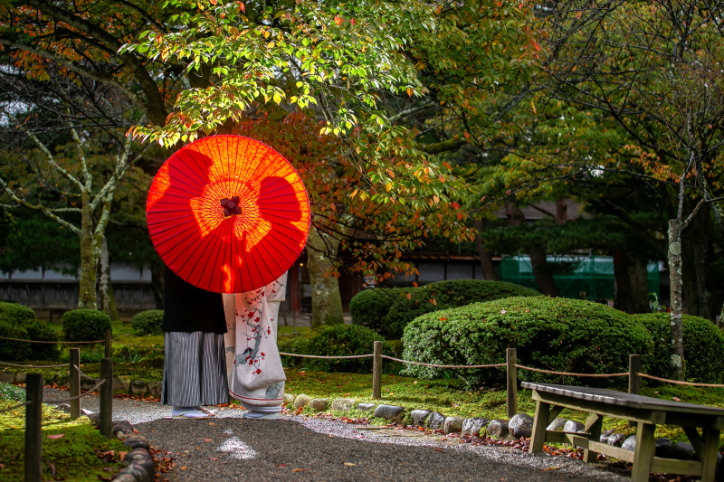 番傘に映り込むお二人