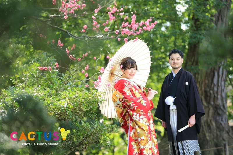 梅と新緑を背景に