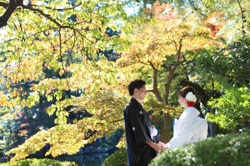 兼六園ロケーションフォト