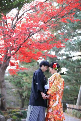 兼六園和装ロケーションフォト