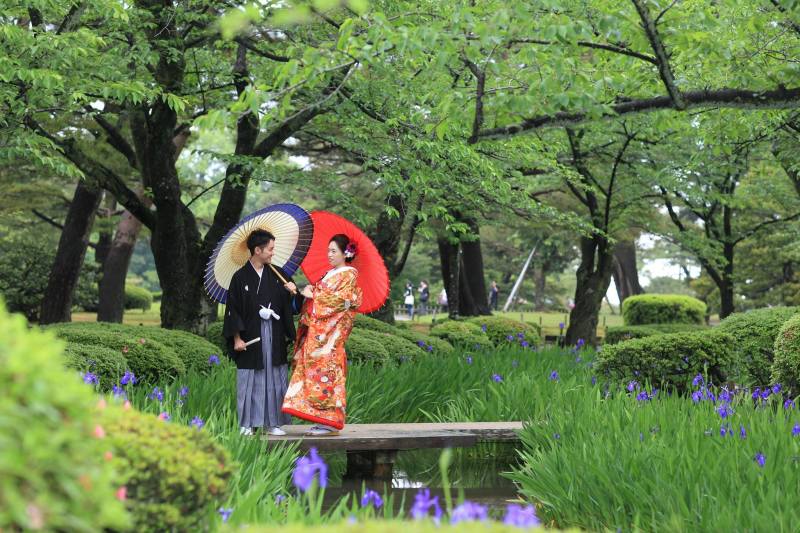 カキツバタにて