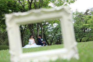 forest location photos