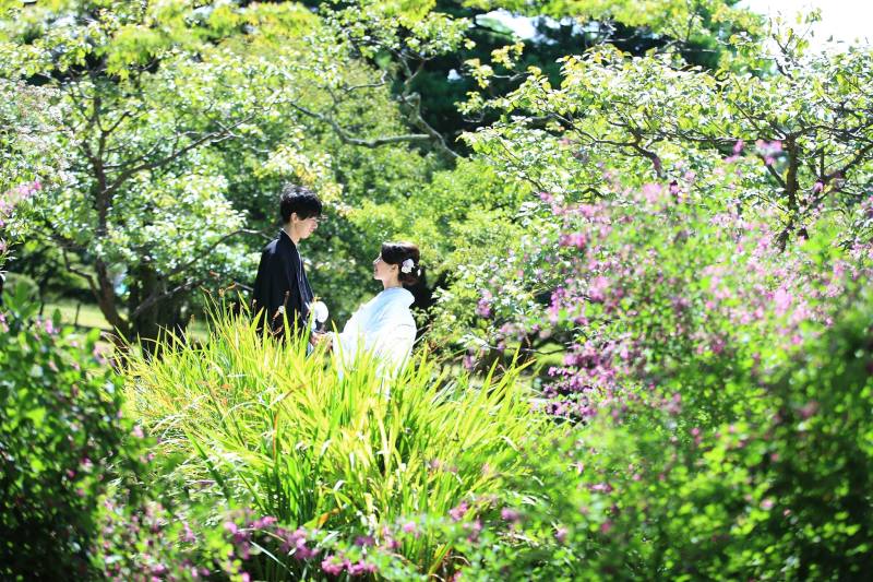 緑の木々に囲まれて