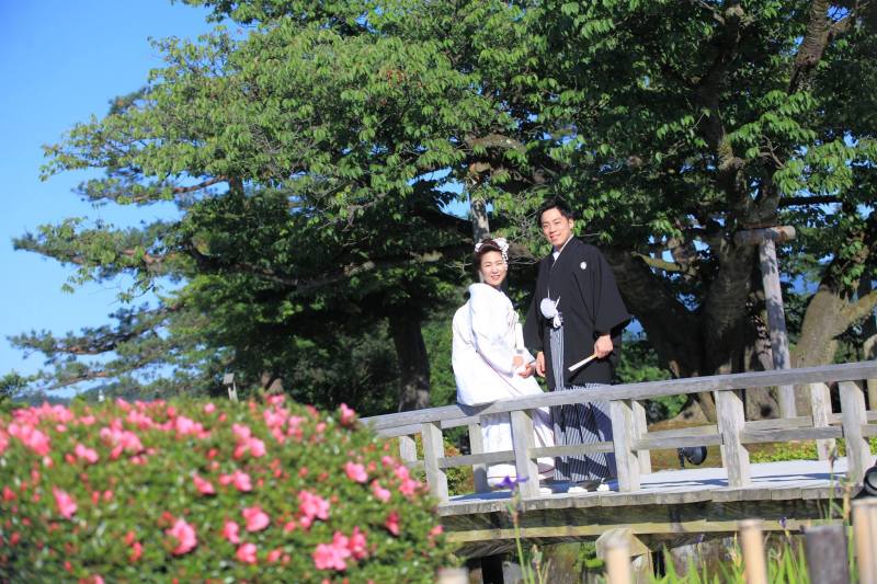 サツキも綺麗に咲いていました。