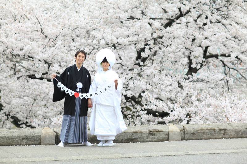 ラストもやっぱり桜が良いね
