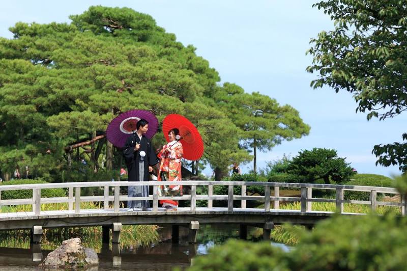 大きな松の木の下で♪