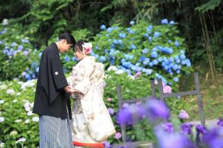 紫陽花・和装ロケーションフォト