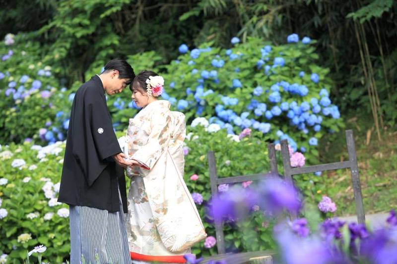 紫陽花・和装ロケーションフォト