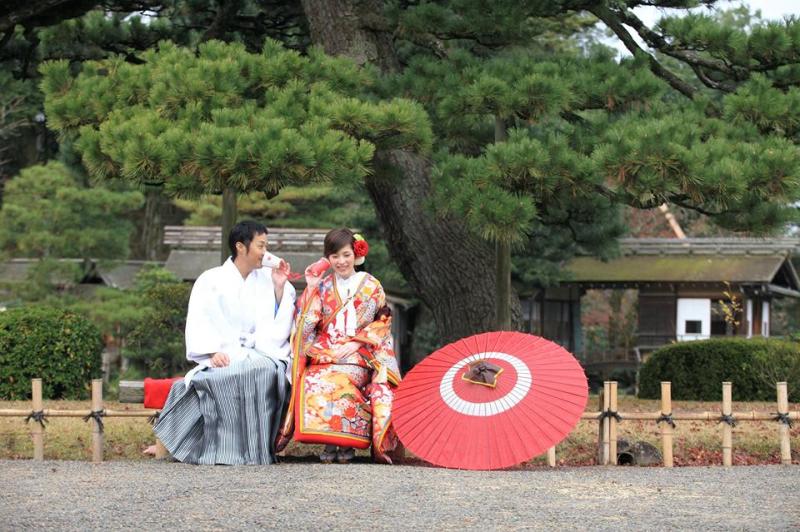 もしもし亀よ♪