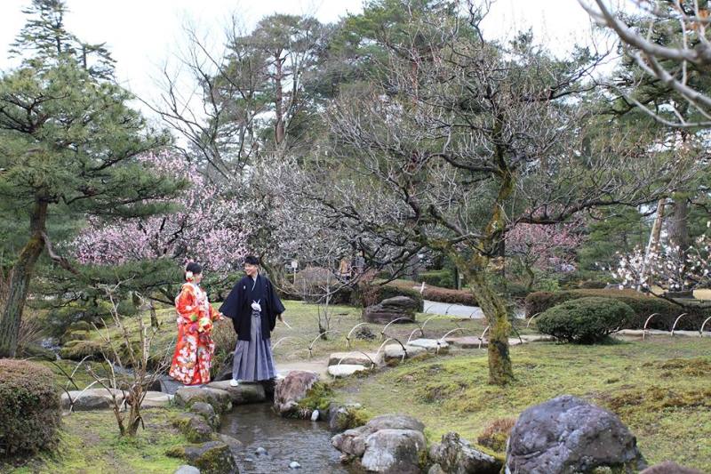 お散歩コース♪