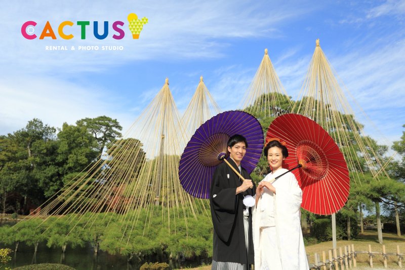 大樹の松を背景に