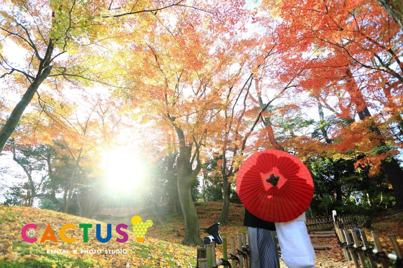 シルエットを映しながら