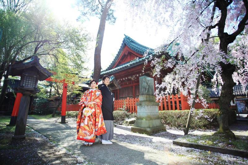 しだれ桜の下で