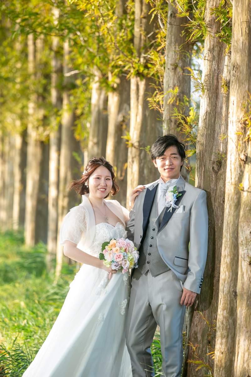 メタセコイア並木にて