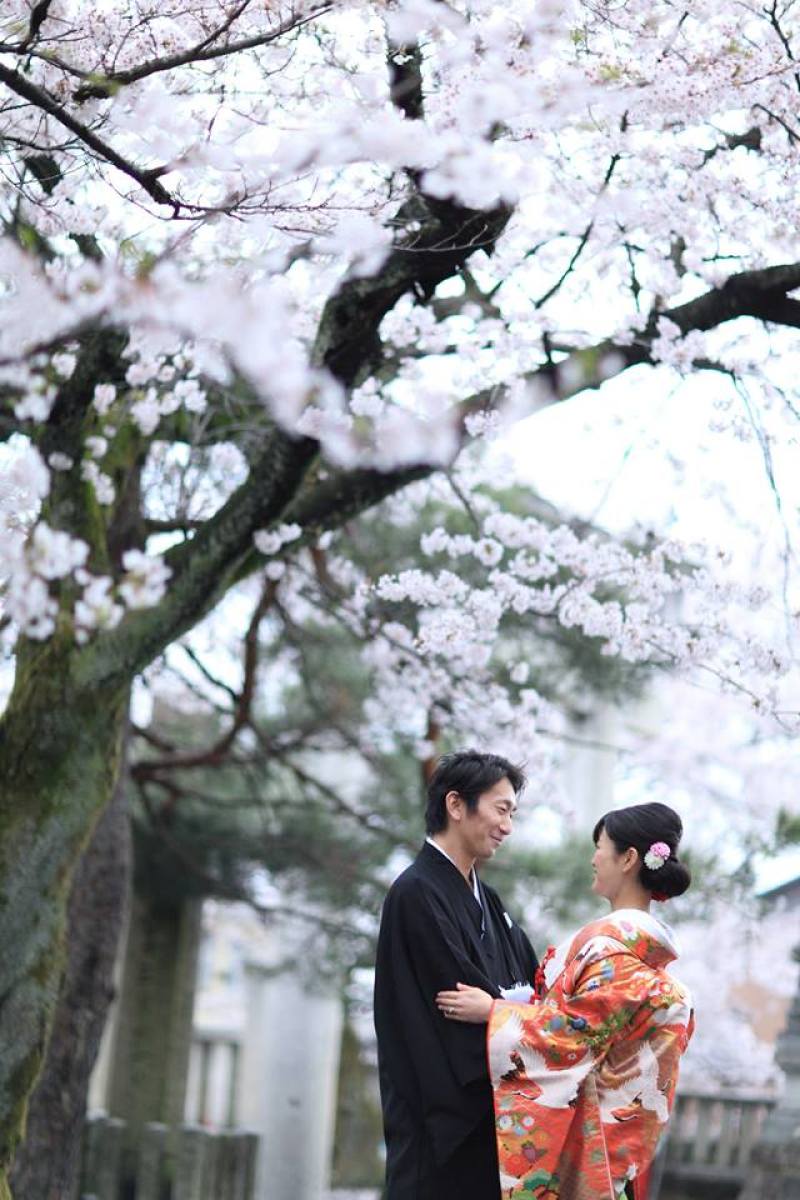 桜の木の下で♪