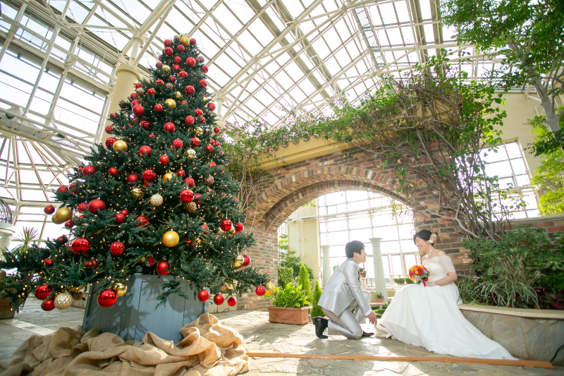 クリスマスイルミネーションフォト