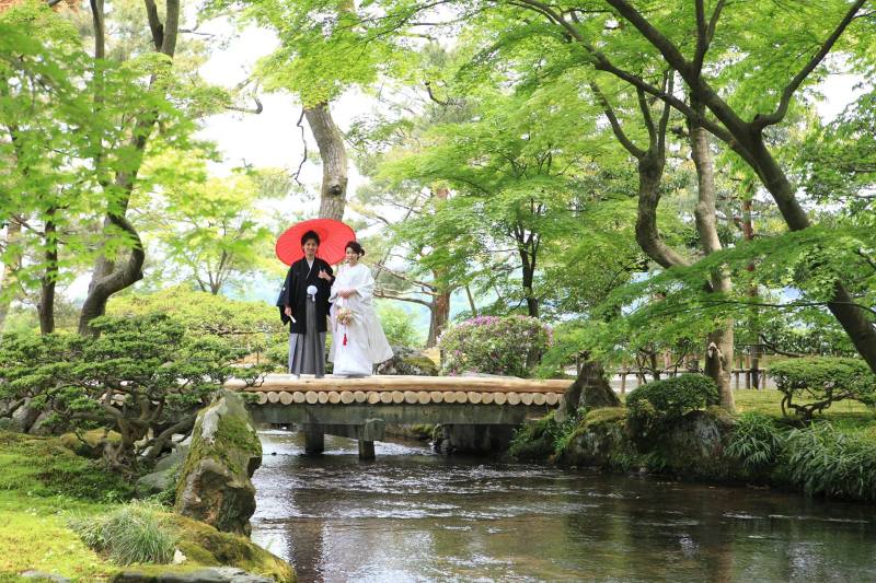 新緑シーズ到来