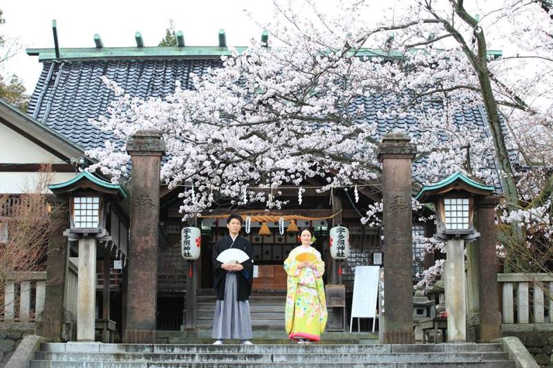 桜満開ロケーションフォト