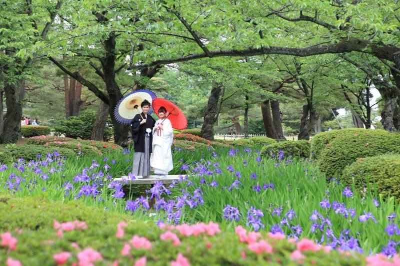 ５月・兼六園にて