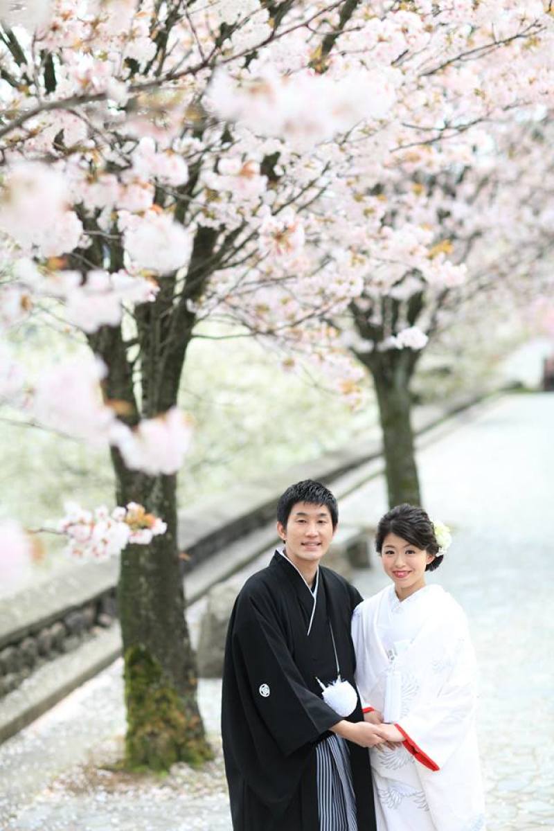 上からこんにちは♪