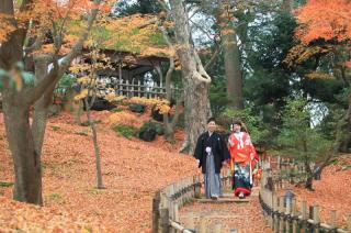 紅葉和装ロケーションフォト in 兼六園