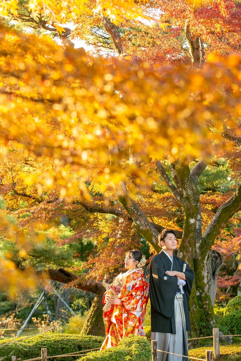 兼六園紅葉シーズン