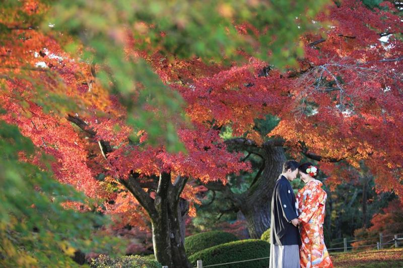 兼六園紅葉ロケーションフォト