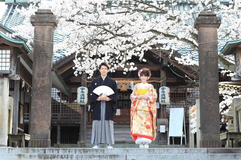 桜満開のうたす神社