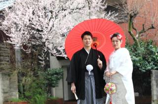 和室庭園フォト