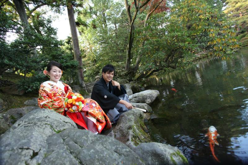 大きな鯉みーつけた！