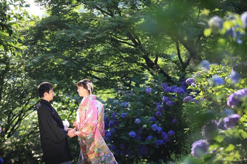 紫陽花ロケーションフォト