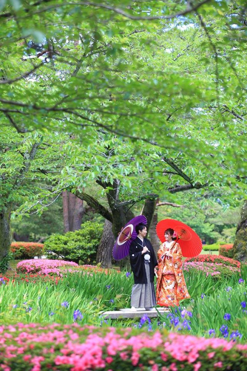 カキツバタ・サツキ♪