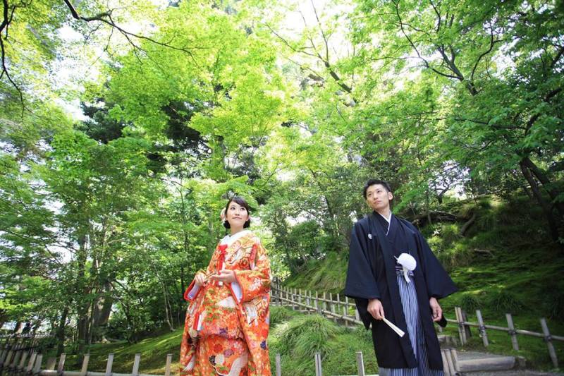 新緑をバックに