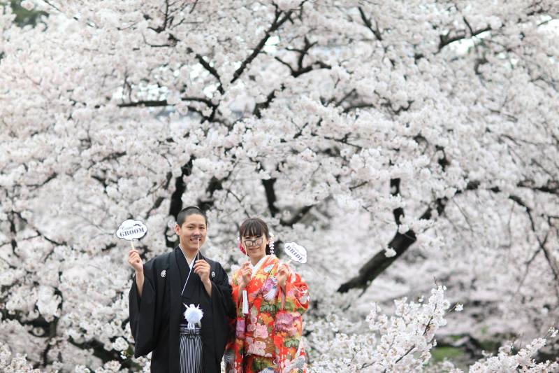 桜ロケーションフォト