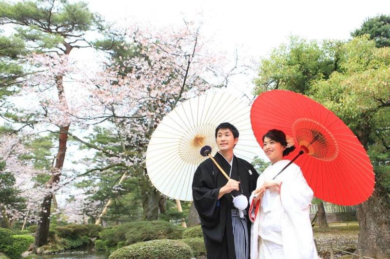 桜をバックに番傘と